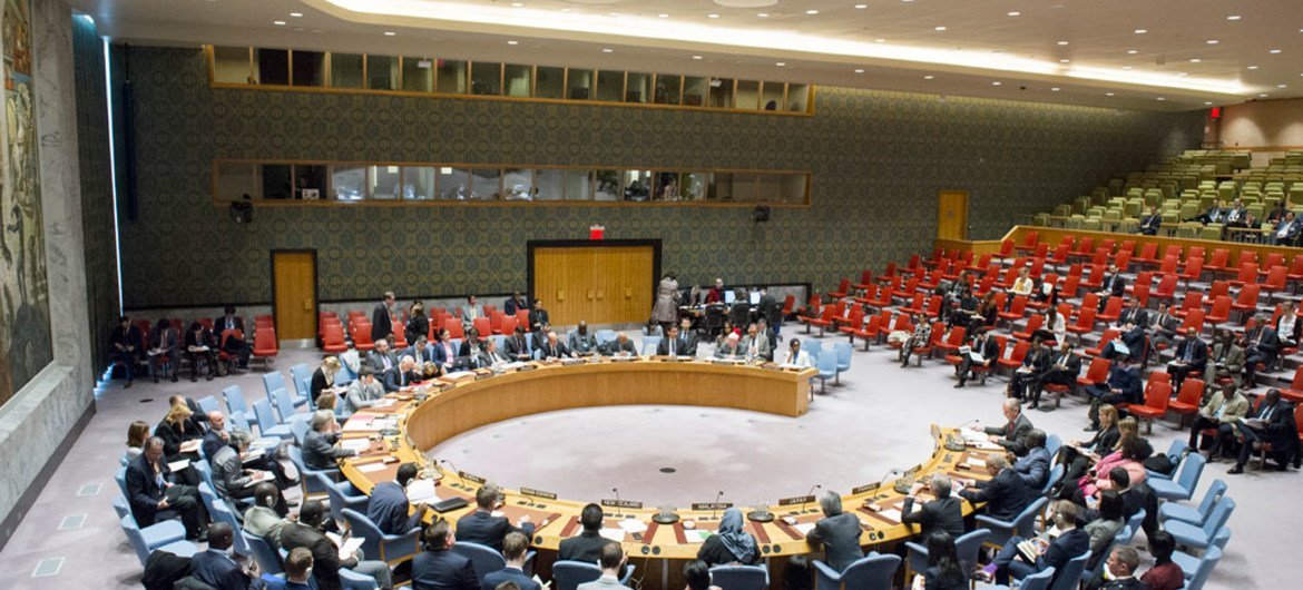 جلسة مجلس الأمن حول الوضع في ليبيريا. المصدر: الأمم المتحدة / ريك باغورناس