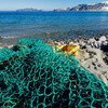 Marine waste, mainly fishing gear, being collected on the beaches of Northwest Spitsbergen, Norway.