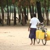 Woman on her way to collect water in drought stricken Chikwawa district, Malawi