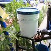 El lavado de manos es una medida básica para evitar la cólera y otras enfermedades en Haití.
