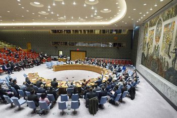 Plan large sur le Conseil de sécurité lors d'une réunion sur la situation des droits de l'homme en République populaire démocratique de Corée (RPDC). (archive)