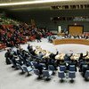 El Consejo de Seguridad. Foto de archivo: ONU/Evan Schneider