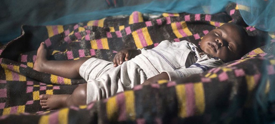 Más del 50 por ciento de las personas en riesgo de contraer Malaria en África cuentan con mosquiteros con insecticida. Foto: OMS