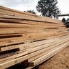 Workers stack wood cut at a processing facility near Kisumu, Kenya.