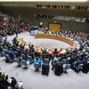 Совет Безопасности ООН Фото ООН/Мануэль Элиас
