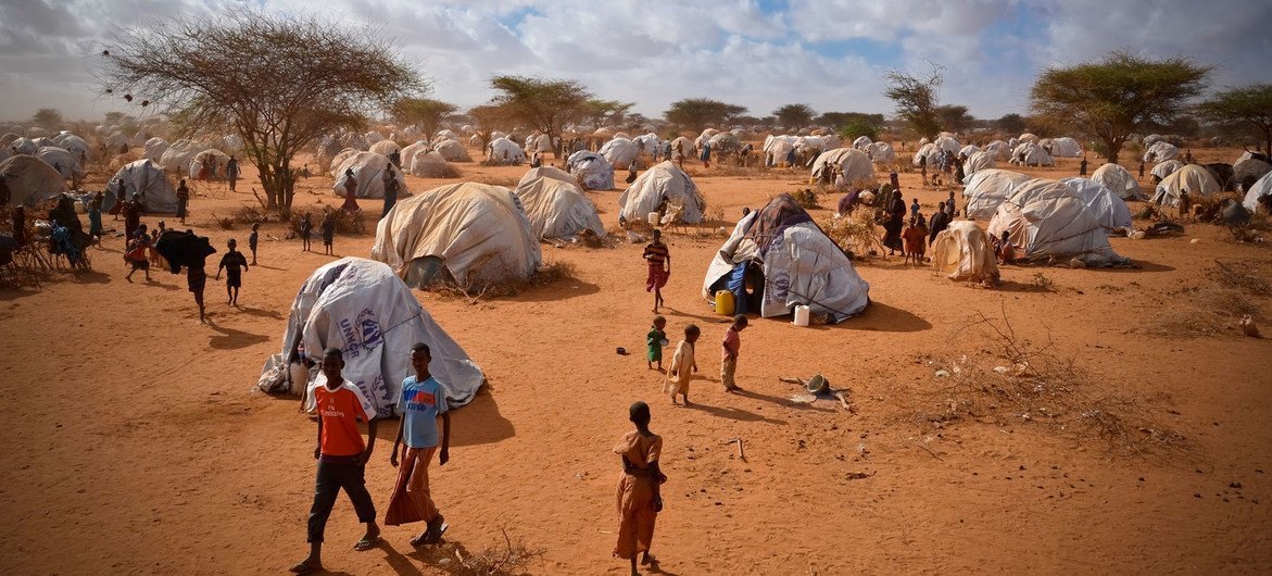 Temporary homes are pouring into the overflow area of the Ifo Extension camp in Dadaab, Kenya.