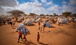 Temporary homes are pouring into the overflow area of the Ifo Extension camp in Dadaab, Kenya.
