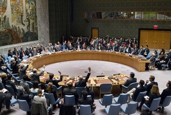 Le Conseil de sécurité a voté une résolution exigeant de nouveau d'Israël qu'il cesse immédiatement et complètement toute activité de peuplement dans le Territoire palestinien occupé, y compris Jérusalem-Est. Le résolution a été adoptée avec 14 voix pour, zéro contre et une abstention (Etats-Unis). Photo ONU/Manuel Elias