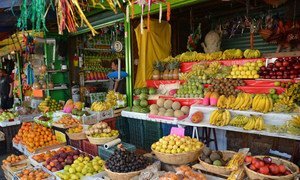 Countries should promote the sustainable production of fresh, safe and nutritious foods to counter overweight and obesity, which have greatly increased, especially among women and children, in Latin America and the Caribbean.