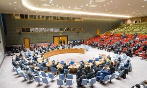 Le Conseil de sécurité de l'ONU. (archives). Photo ONU/Rick Bajornas