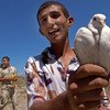 Армянский мальчик держит в руках белого голубя - символ мира.