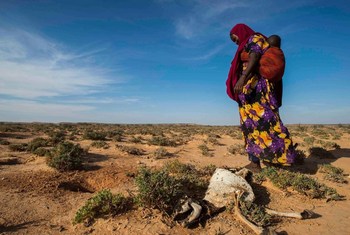 Estudo da FAO e PMA indica que 970 mil pessoas podem morrer por falta de alimento