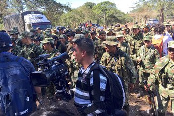 FARC women and men marched to Pondores, in La Guajira (Colombia), where laying down of arms will take place with the presence of the UN Mission.