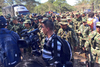Plus de 200 hommes et femmes des FARC-EP marchent le 1er février 2017 vers le point de transition vers la normalisation dans le nord de la Colombie afin d'effectuer leur retour à la vie civile.
