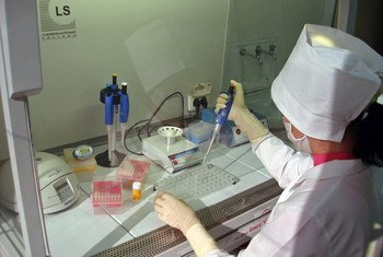 A laboratory specialist researching on avian influenza at a human health lab. (file)