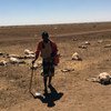在索马里北部受旱灾影响地区的一名牧民，他原有70只羊，现在已经几乎一半都死了。