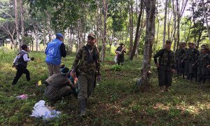 Les derniers membres des Forces armées révolutionnaires colombiennes - Armée populaire (FARC-EP) arrivent dans les zones de Veredales