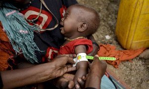 A community health worker with UNICEF partner Swiss-Kaalmo, based in Salamey Idale IDP camp in Somalia, goes door to door to spread health messages to mothers and children living in the camp.