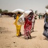 Desplazados en la Cuenca del Lago Chad reciben asistencia del PMA. Foto: PMA/Marco Frattini