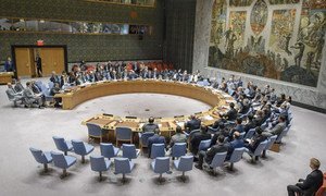 Vote du Conseil de sécurité sur un projet de résolution visant à imposer des sanctions à la Syrie pour l'utilisation d'armes chimiques. Le projet de résolution n'a pas été adopté en raison du véto de deux membres permanents du Conseil (Chine et Russie). Photo ONU / Manuel Elias