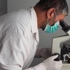 Научные исследования - один из главных  факторов успеха в борьбе с туберкулезом, особенно устойчивого к лекарствам
