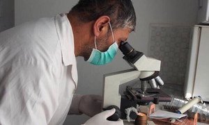 Научные исследования - один из главных факторов успеха в борьбе c инфекционными заболеваниями , особенно - с устойчивым к лекарствам