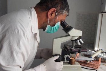 L'OMS souligne le besoin urgent de recherche et développement pour la tuberculose résistante aux médicaments, ainsi que pour les pathogènes résistants aux antibiotiques nouvellement prioritaires. 