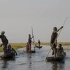 Jóvenes regresan a casa después de pescar en los pantanos de Nyal, en Sudán del Sur. Foto: FAO/Lieke Visser