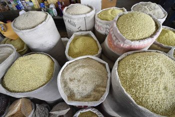 塔吉克斯坦一个市场上售卖的各种类型的米 。