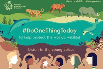 media:entermedia_image:0669b49d-408e-46ac-aa39-53cdcd0f875a