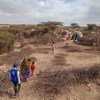 干旱天气导致索马里面临饥荒。