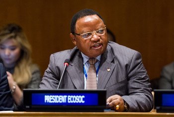 President of the UN Economic and Social Council Frederick Musiiwa Makamure Shava.