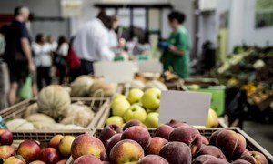 A market at a food cooperative in Orto Sole cooperative farm in Fiumicino and Torrimpietra, Italy. Photo: FAO/Alessandra Benedetti.