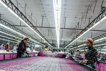 Mujeres camboyanas trabajan en una fábrica. 