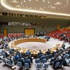 安理会会议现场。联合国图片/Rick Bajornas