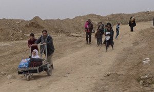 In Mosul, Iraq, aging family members are pushed for hours through frontline fighting between the army and the Islamic State of Iraq and the Levant (ISIL/Da’esh), to reach safety.
