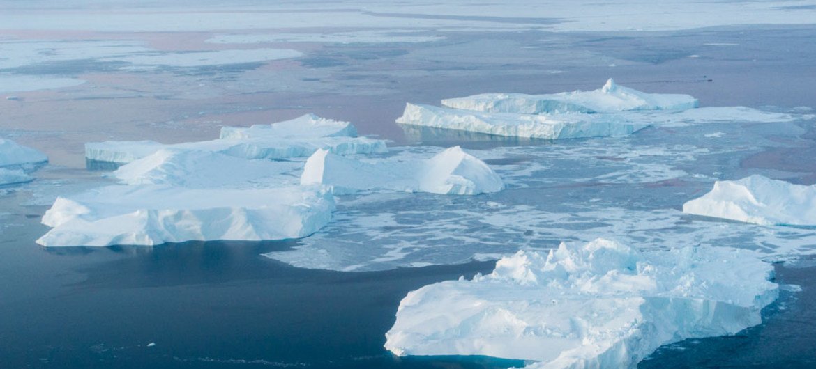 A view of icebergs in Ilulissat Icefjord Greenland, where the melting of ice sheets is accelerating.
