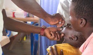More than 190 000 polio vaccinators in 13 countries across west and central Africa will immunize more than 116 million children in late March 2017.