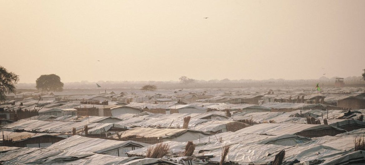 南苏丹饥荒重灾去班提乌的流离失所者营地。国际移民组织图片