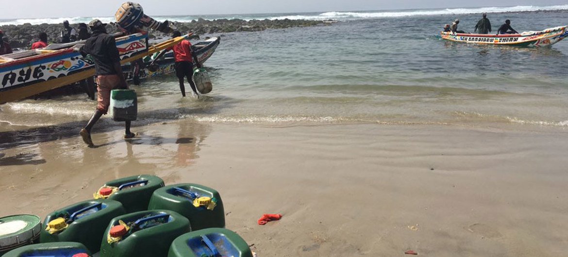 Acidificação dos oceanos afeta setor das pescas e comunidades costeiras