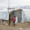 黎巴嫩的叙利亚难民营。难民署/Dalia Khamissy