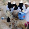 Trabajadore de salud y voluntarios de la campaña de vacunación en Yemen. Foto: UNICEF/Al-Zikri