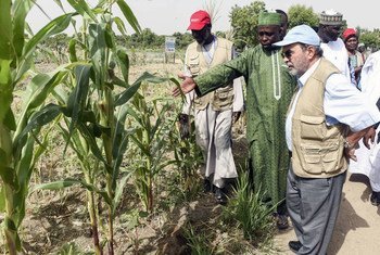 Le Directeur général de la FAO, José Graziano da Silva (à droite), début d'avril 2017, a visité certaines des régions les plus touchées par la faim et la pauvreté au Tchad et dans le nord-est du Nigéria. Photo FAO/Pius Utomi Ekpei