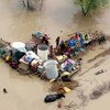 巴基斯坦大规模洪水对当地牲畜和家庭财产造成影响。