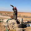一名约旦人正在从井里取水。农发组织/Lana Slezic