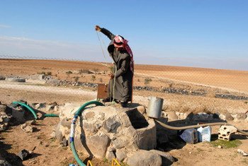 Un homme puise de l'eau pour arroser son champ en Jordanie. Photo FIDA/Lana Slezic
