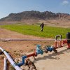 Farms in Wadi, an arid region in, Jordan that employ the use treated waste water for irrigation. Photo: IFAD/Lana Slezic