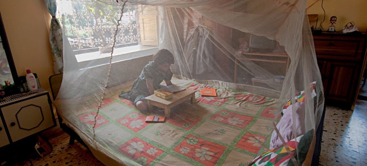A young girl reads inside a mosquito net in West Bengal, India.