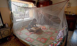 Cетки, защищающие от комаров, – главная защита от заражения малярией  