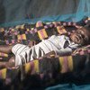 Plus de 50% des personnes menacées par le paludisme en Afrique dorment maintenant sous des moustiquaires imprégnées d'insecticide. Photo OMS